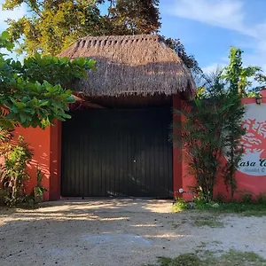  Pensión Casa Coral México